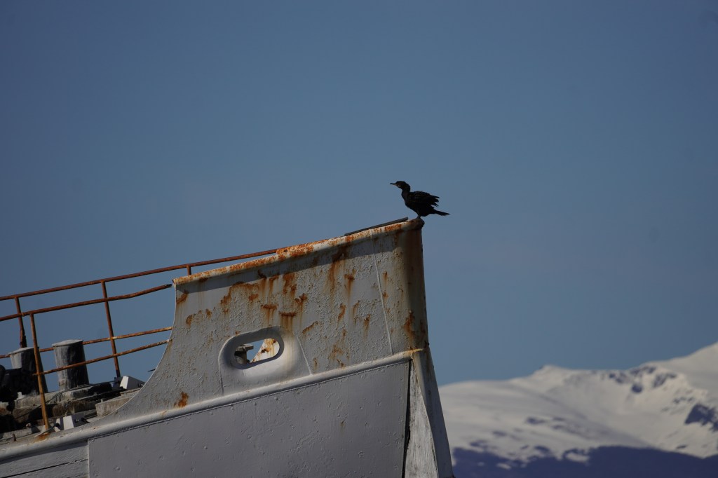 The end of the&nbsp;wörld