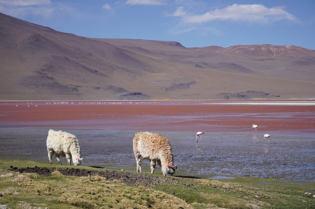 Röute de Lagunas – a&nbsp;HIGHlight